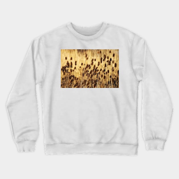 Golden Teasel Crewneck Sweatshirt by photoclique